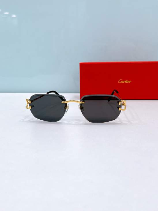 Picture of Cartier Sunglasses _SKUfw80535763fw